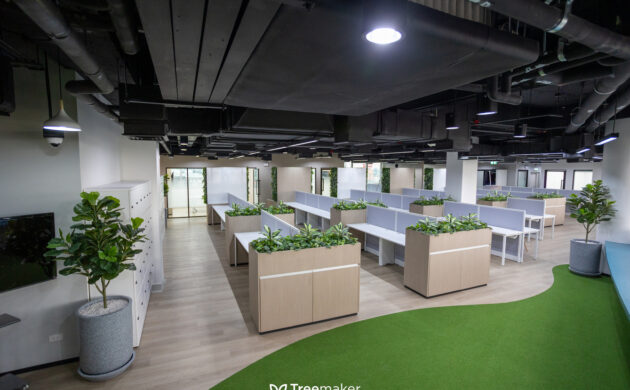 treemaker_BETRAGO-13