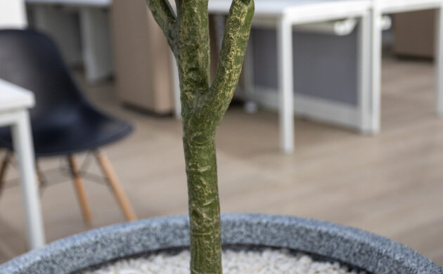 treemaker_BETRAGO-14