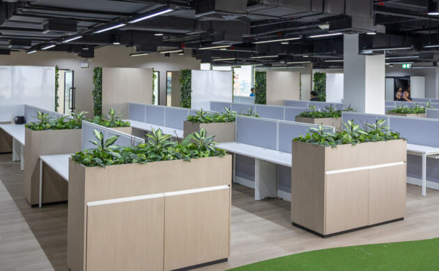 treemaker_BETRAGO-16