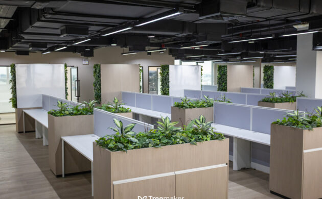 treemaker_BETRAGO-20