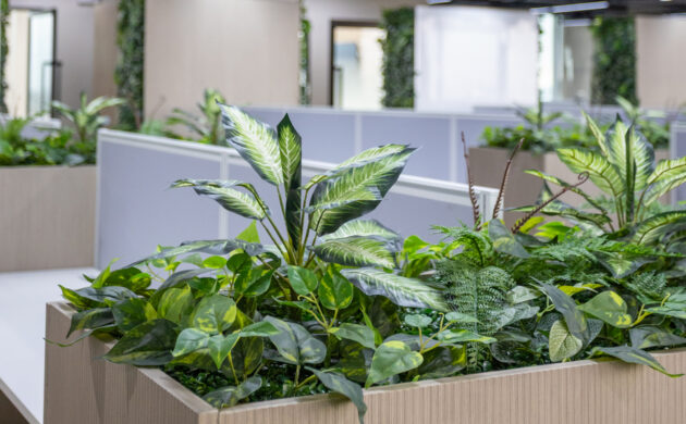 treemaker_BETRAGO-23