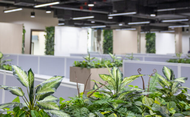 treemaker_BETRAGO-24