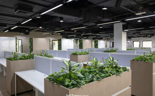 treemaker_BETRAGO-27