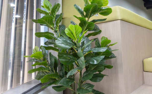 treemaker_BETRAGO-28