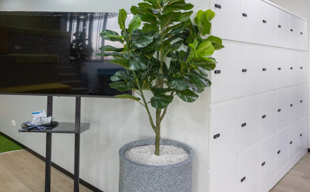 treemaker_BETRAGO-29