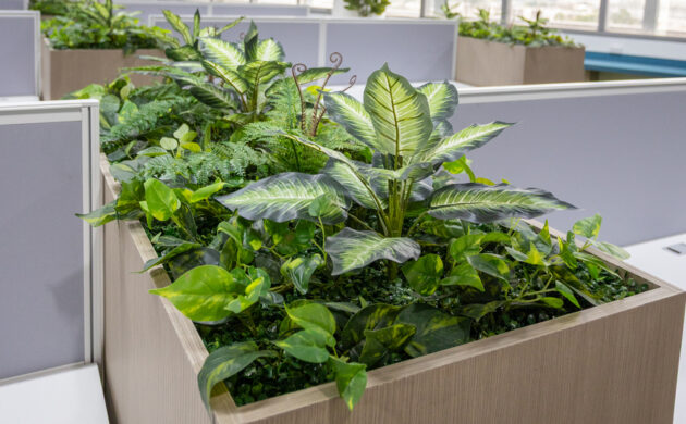 treemaker_BETRAGO-31