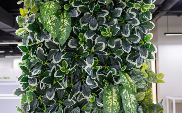 treemaker_BETRAGO-37