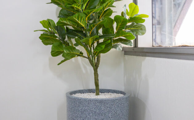 treemaker_BETRAGO-42