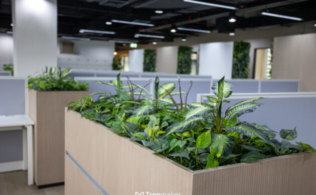 treemaker_BETRAGO-45