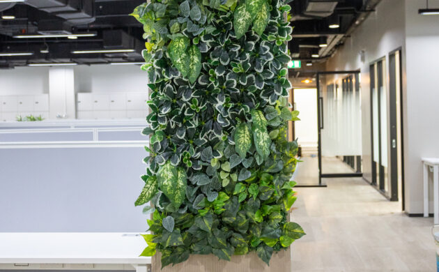 treemaker_BETRAGO-54