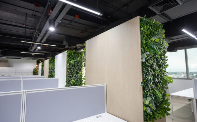 treemaker_BETRAGO-56