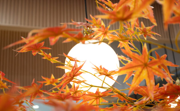 treemaker_harumiki-12