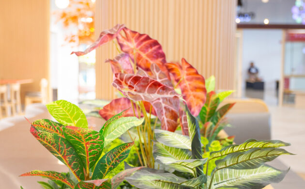 treemaker_harumiki-17