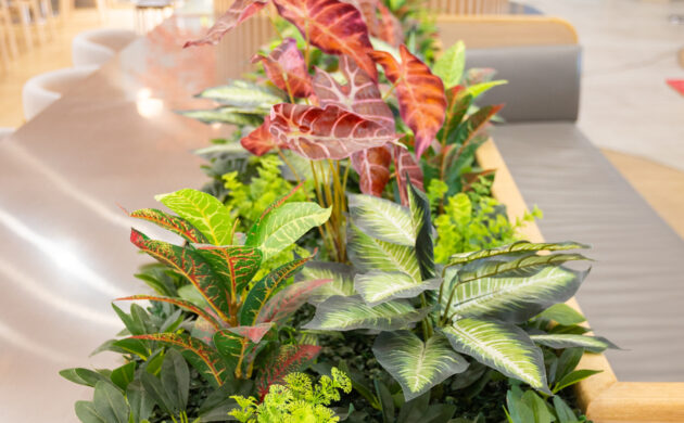 treemaker_harumiki-18