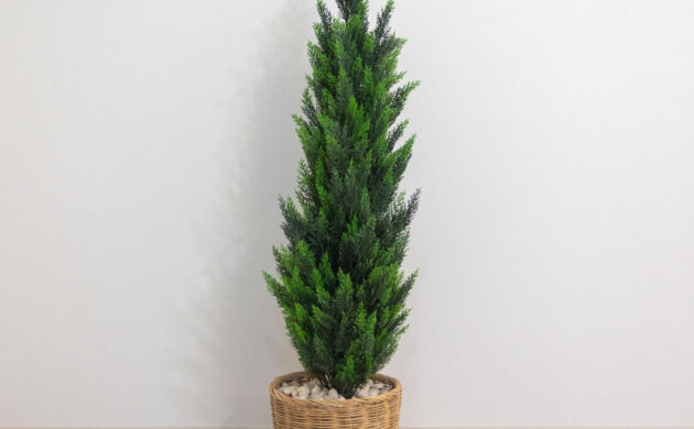 treemaker_khundream-01