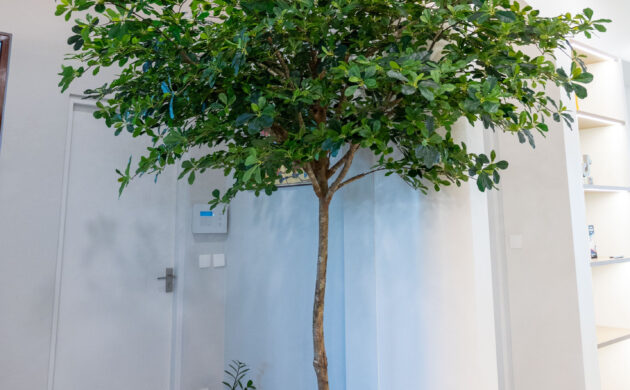 treemaker_khundream-05