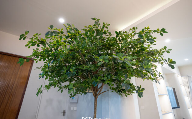 treemaker_khundream-06