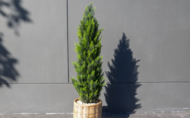 treemaker_khundream-11