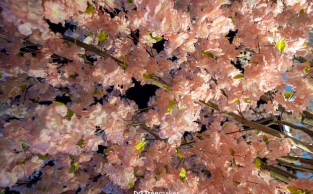 treemaker_sakura-1
