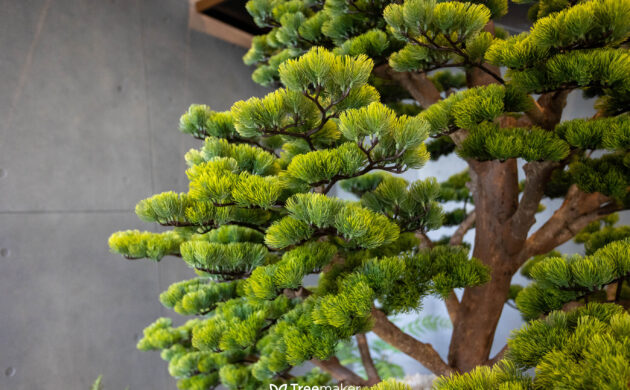 Treemaker-nichadathani-17
